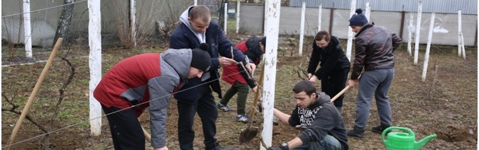 Долучилися до всеукраїнської акції висадки дерев